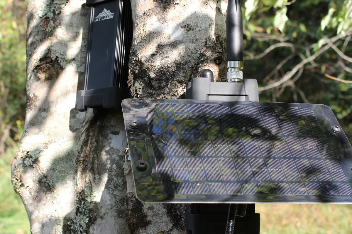 An AT Labs infrastructure mesh radio mounted to a tree in the field, extending the network across remote terrain